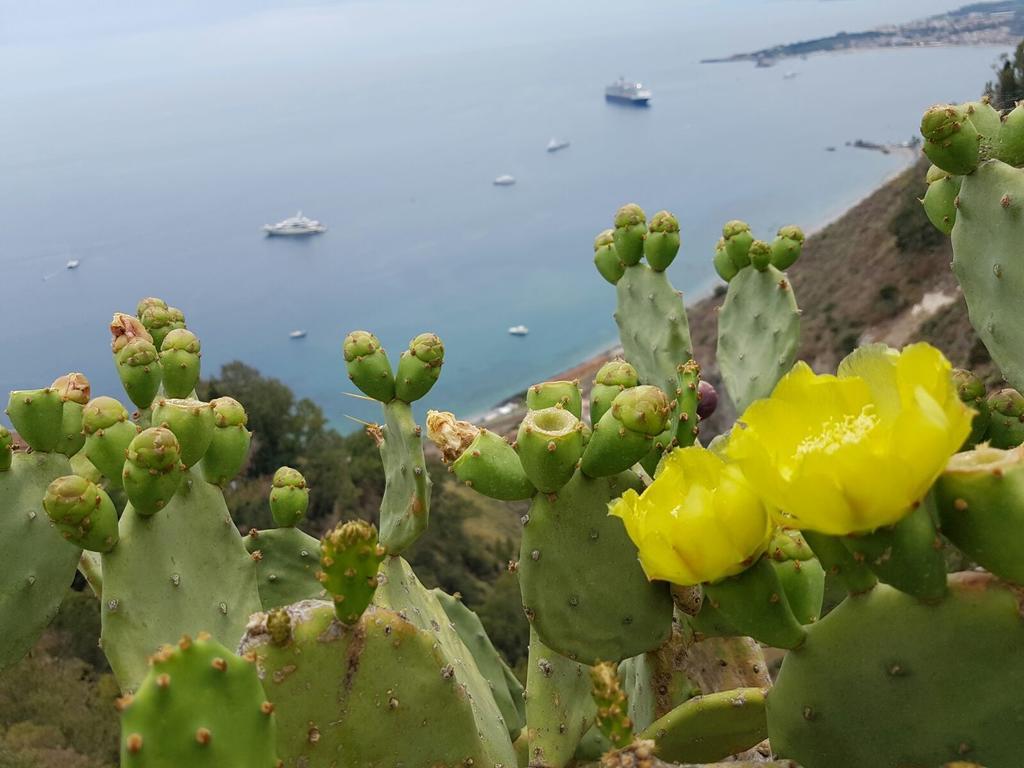 Ferienwohnung Da Cristina Con Amore Taormina Exterior foto