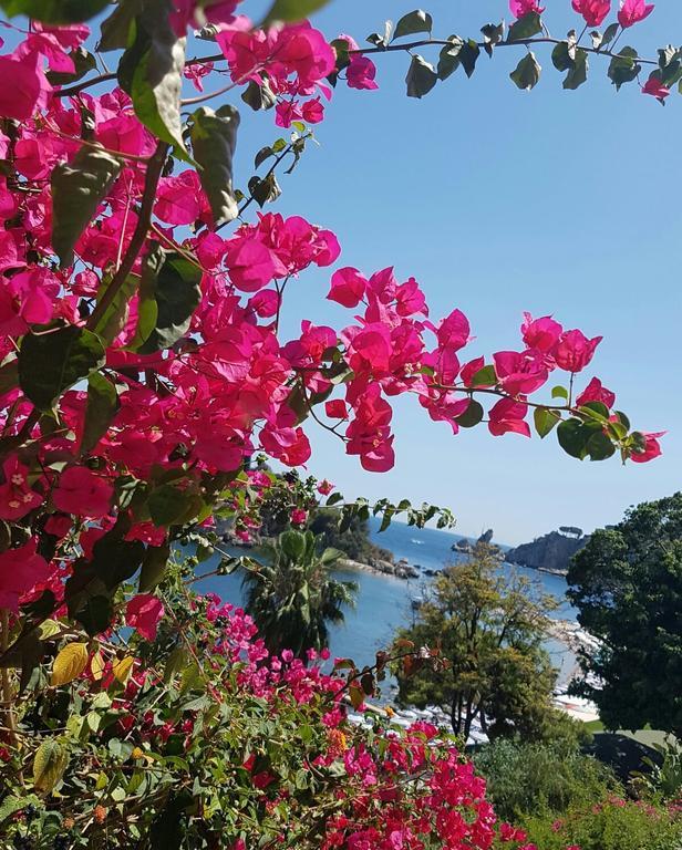 Ferienwohnung Da Cristina Con Amore Taormina Exterior foto